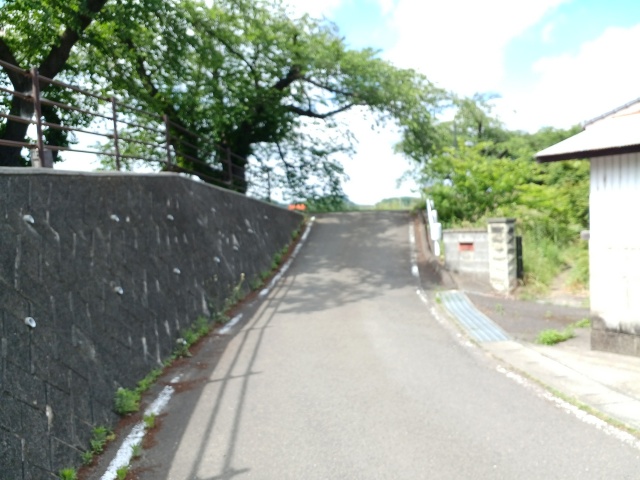 船岡駅前からの小道の様子を撮影した写真