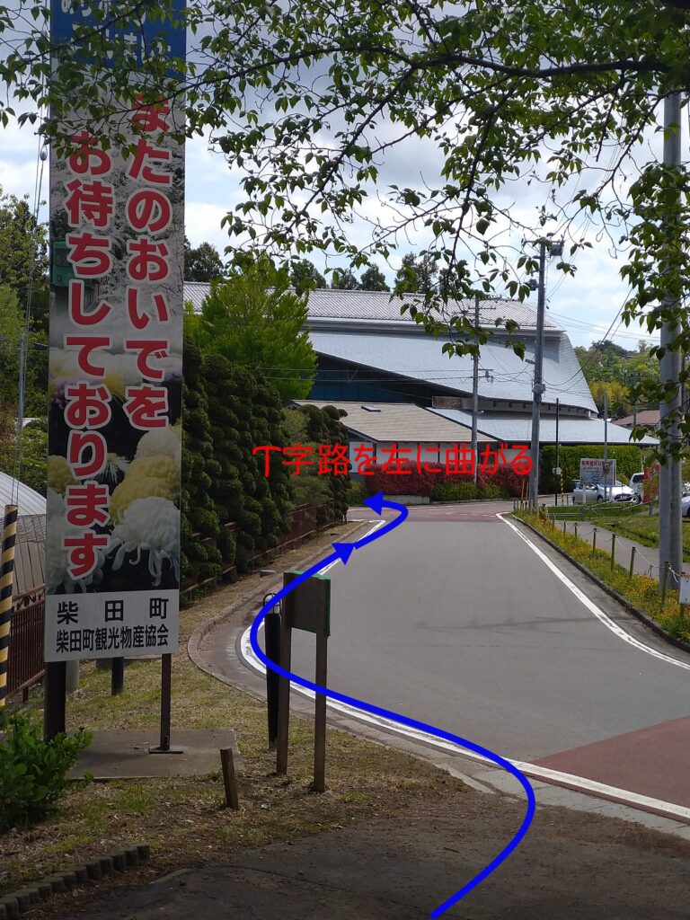 船岡城址公園出口からの道の様子を撮影した写真