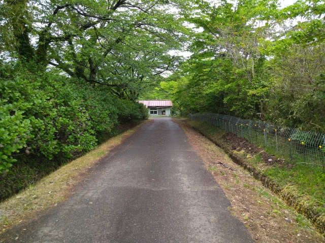 太陽の村の脇道の様子を撮影した写真