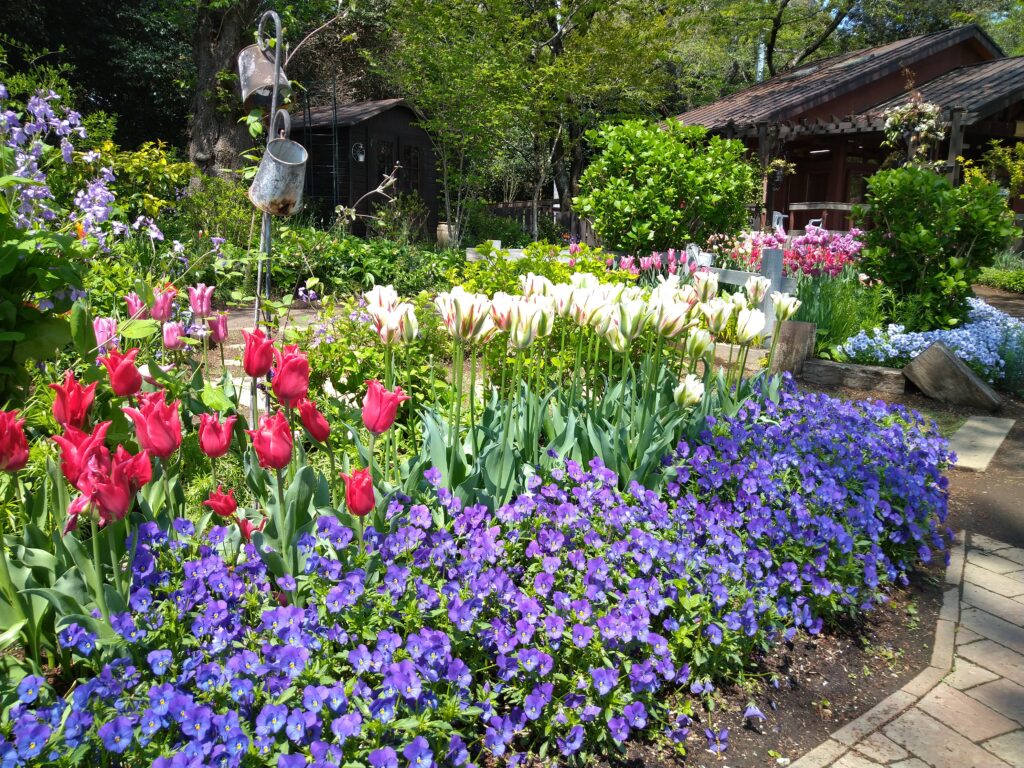 花がたくさん植えられている様子を撮影した写真