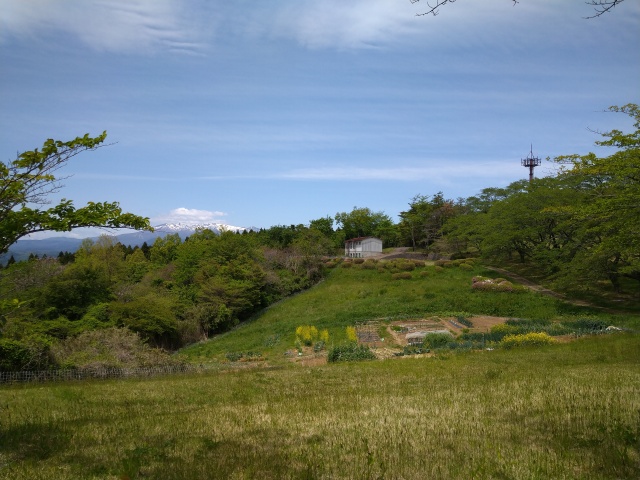 鉄塔の横から見える景色を撮影した写真