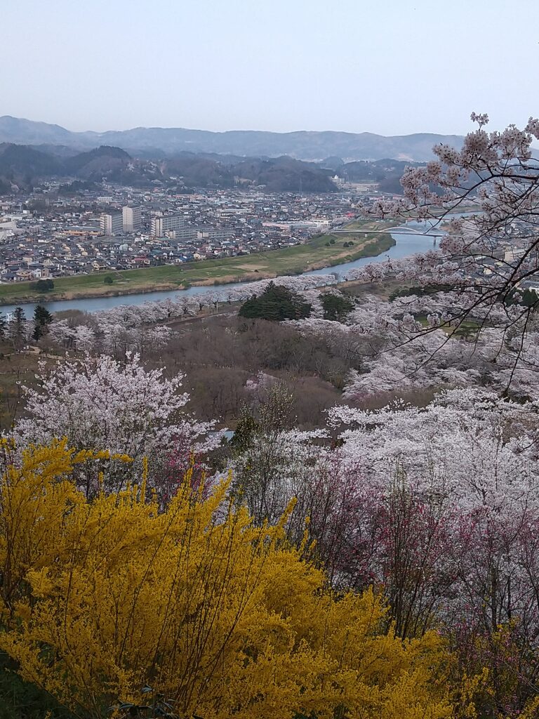 船岡城址公園頂上から見た白石川の様子を撮影した写真