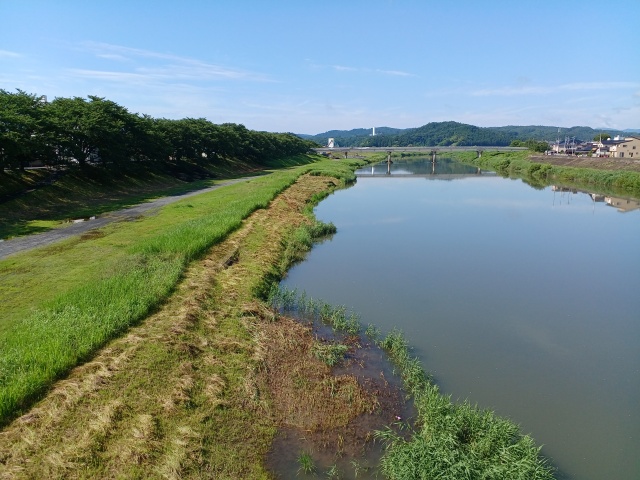 白石川の様子を撮影した写真