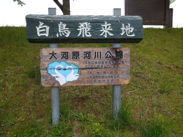 大河原河川公園看板の様子を撮影した写真